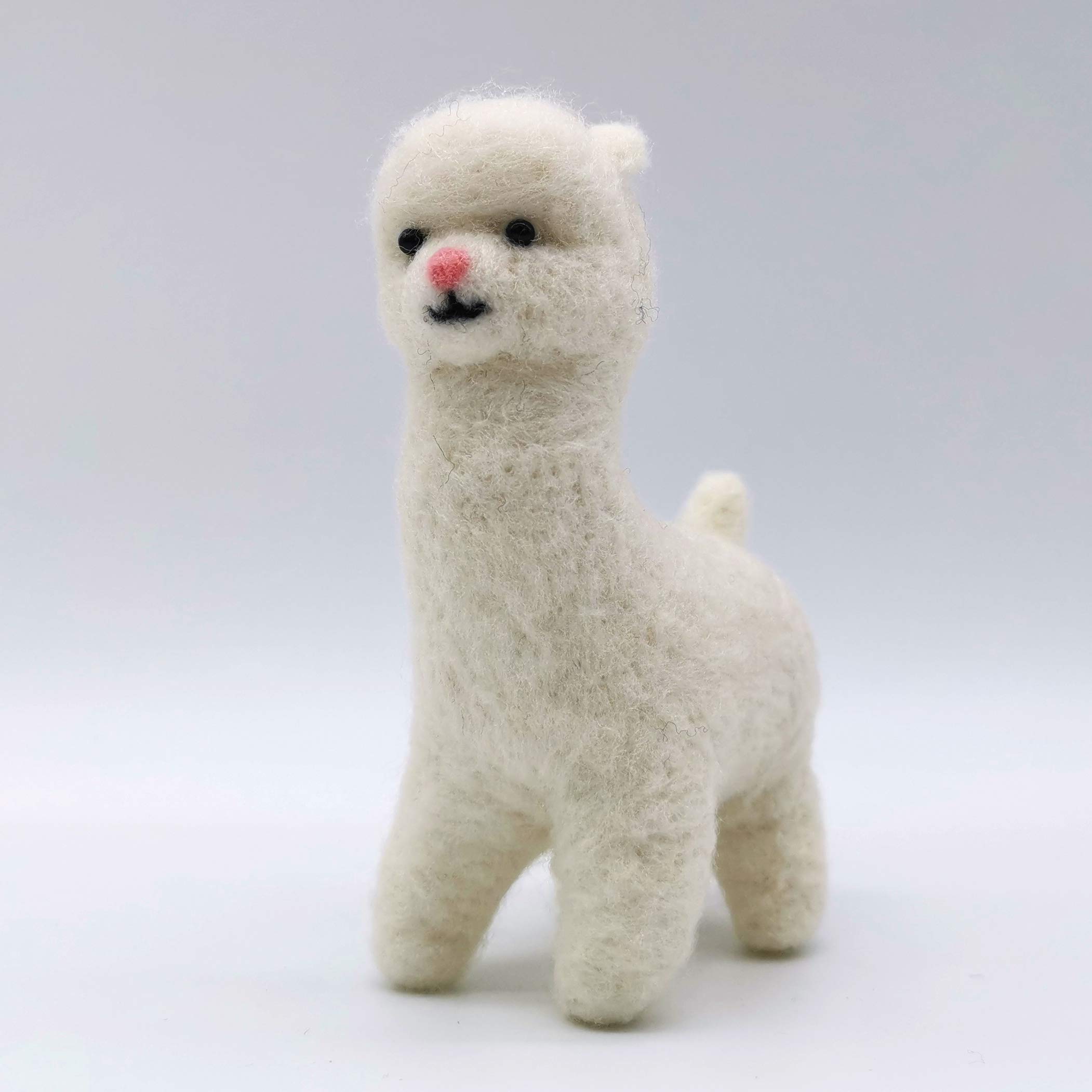 Feltsky Alpaca Needle Felting Kits for Beginners 10cm with Enough Accessories to Make