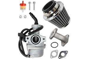 Anxingo 22mm PZ22 Carburetor Kit Replacement for SSR CRF50 110cc 125cc Predators Go Karts Pit Dirt Bike, for Taotao Pit Bike 