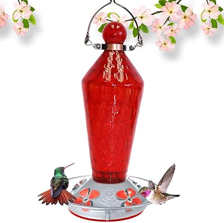 Amazon Com Grateful Gnome Hummingbird Feeder Hand Blown