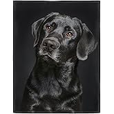 HommomH Black Lab Blanket, Gorgeous Labrador Dog Print, Soft Fluffy Fleece Throw 40"x50"