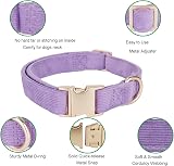 YUDOTE Ultra-soft Dog Collar Natural Cotton Corduroy Lilac Medium Dog view 3
