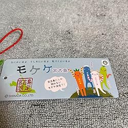 Mokeke Miyakojima Okinawa Mango Nyachi