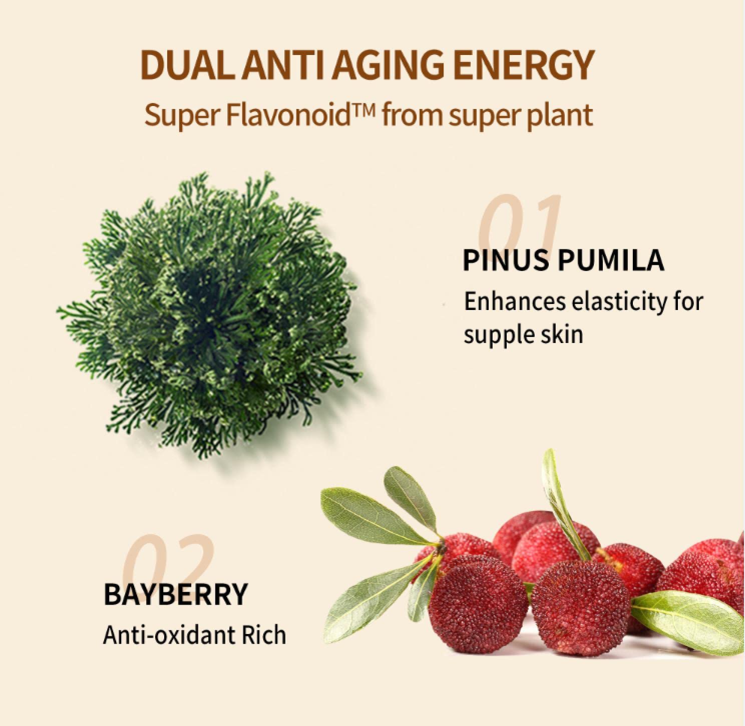 IOPE Super Vital Softener - Anti Aging Toner for Rejuvenating with Super Flavonoids, Korean Skincare, Sensitive Skin - Pore Minimizer & Plumping, 5.07 Fl. Oz