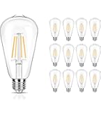 winsaLED 12 Pack 400LM LED Edison Bulbs 40 Watts Equivalent, 5000K