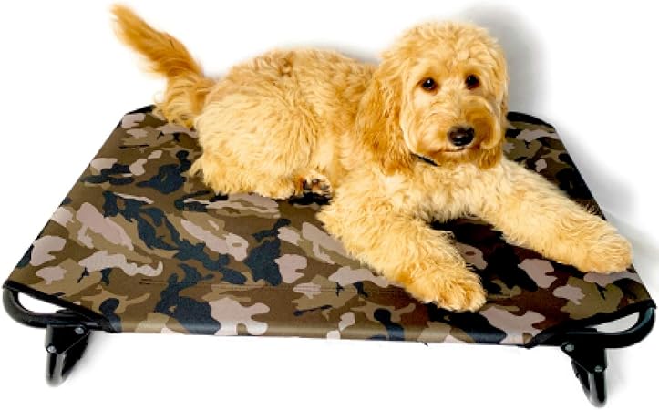 collapsible raised dog bed