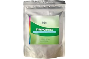 BioPure Chlorella Pyrenoidosa – 100% Organic, Cracked-Cell Wall, Nutraceutical Superfood Packed with Proteins, Vitamins, Minerals & Amino Acids That Supports Metabolism, Detox & Immunity 1000 Tablets