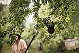 Fiskars Fruit Picker for Cutting Giraffes UPX82 UPX86 UP82 UP84 UP86 Tool Head view 3