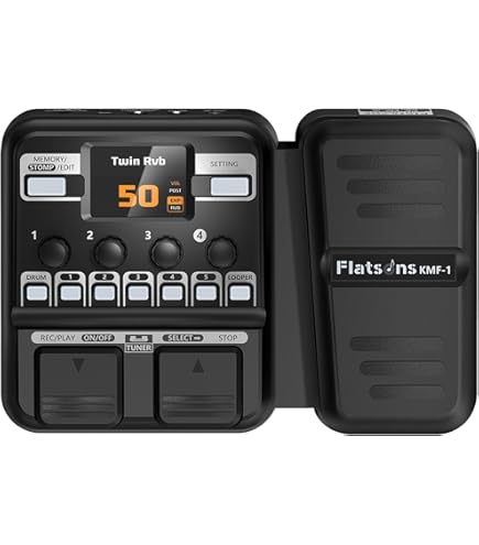 Amazon.com: Budda Karma Chorus Electric Guitar Effects Pedal