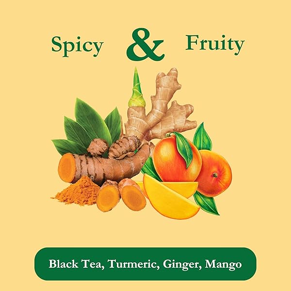 TADIN TURMERIC MANGO GINGER TEA, CONTAINS CAFFEINE, BEST AS HOT TEA, CONTAINS BLACK TEA, 24 TEA BAGS PER BOX, PACK OF 6