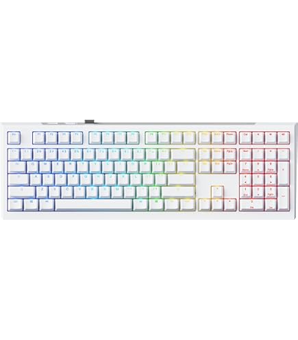 Amazon.com: Ducky x Hardcap Afterglow 108 Key SA Profile Double