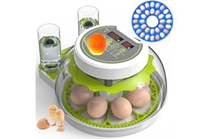 DEZHXHE Egg Incubators for Hatching Eggs, Chicken Egg Incubator with Automatic Egg Turning, Temperature Control & Humidity Display, Egg Candler, Home Use for Chicken, Duck, Goose, Quail - Green