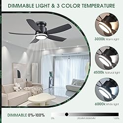 Modern Ceiling Fans with Lights and Remote/APP