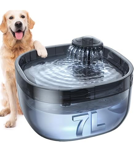 Filtres Pour Fontaine à Eau Eyenimal Classic Pet Fountain Chats Chiens