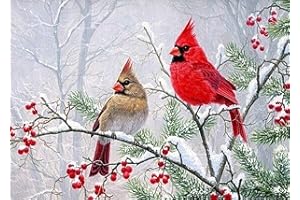 ACELII 5D Christmas Diamond Painting Kits for Adults Beginners,DIY Cardinals Birds Diamond Art,Winter Diamond Dots Gem Art Kits,Home Wall Art Decor 12x16 Inch