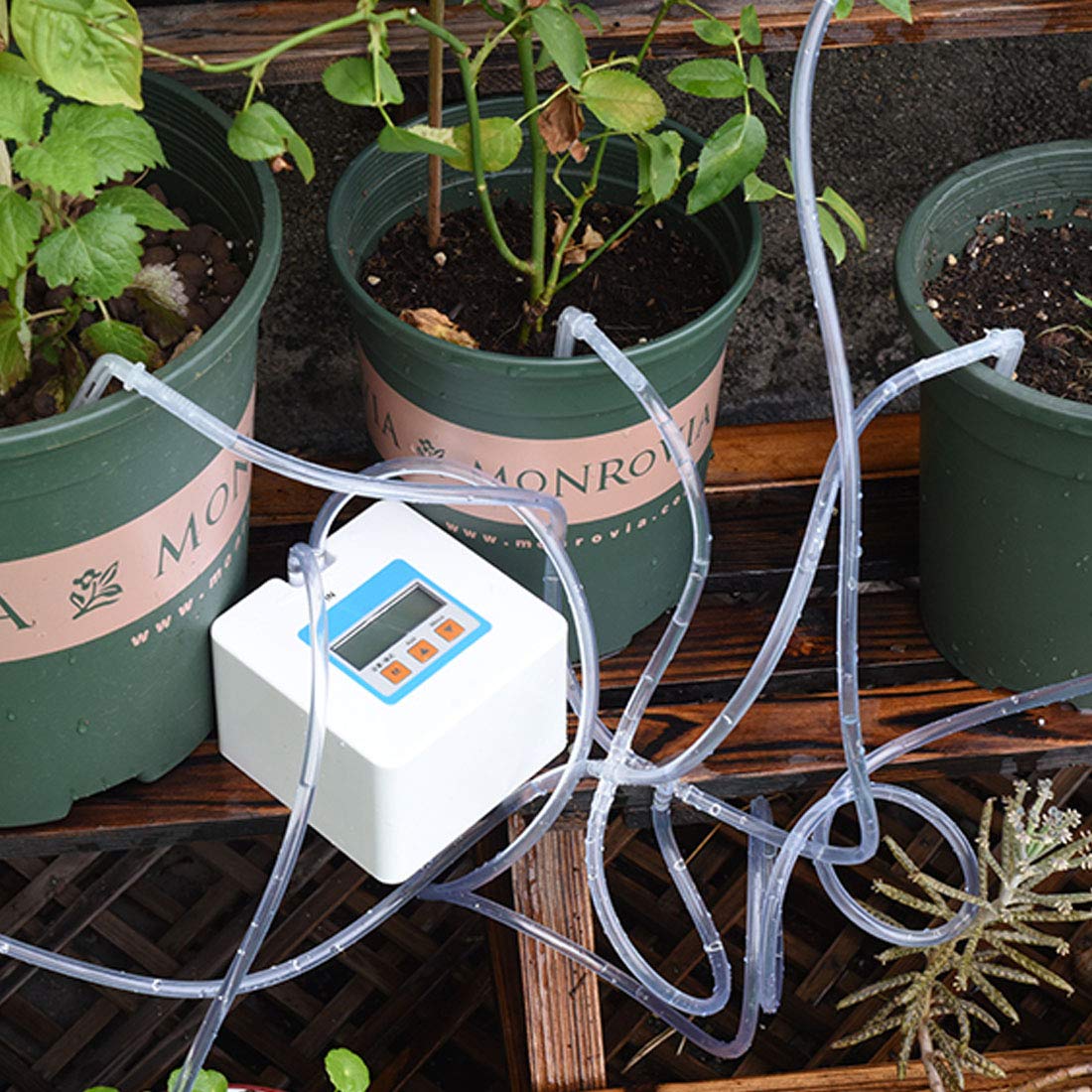 Timer For Watering Plants Timer For Watering Plants