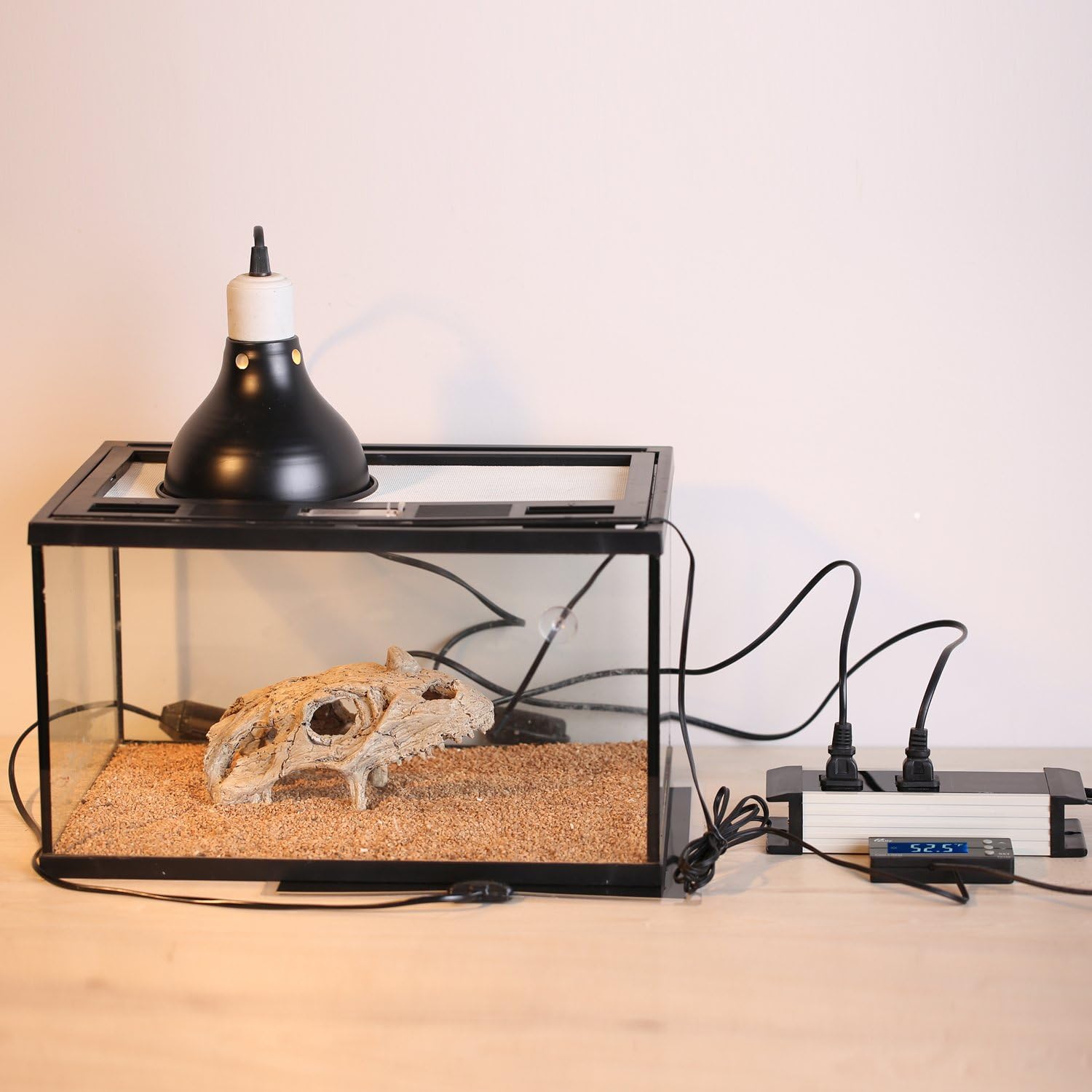 Mejores termostatos para reptiles [year] (Análisis) 8