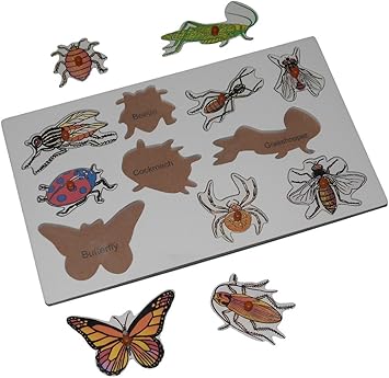 Kido Toys Name The Insects