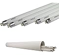 Apollo Horticulture 2 FT 6400K T5 Fluorescent Grow Light Bulbs - Pack of 5