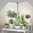 bodkar Plant Grow Lights for Indoor Plants,Plant Lights for Indoor Growing | Full Spectrum with 3/6/9H Timer & Dimming,Slim 6