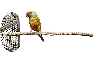 Birds LOVE Small Bottlebrush Wood Cage Perch - Natural Wood Bird Perch - Bird Cage & Stand Accessories - Bird Perches for Cockatiel, Parakeet, Canaries, Conures and Lovebirds - Parrot Perch Stand