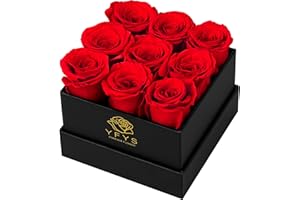YFYS Forever Flowers for Delivery Prime - 9pcs Preserved Fresh Roses, Genuine Roses That Last for Years, for Birthday Gifts for Women, Valentines Day, and Mother's Day (Red)