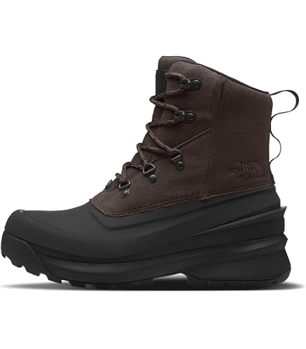 Amazon.com: The North Face Chilkat V 400 Waterproof Snow  display picture 2