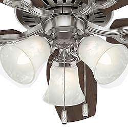 Hunter Fan Company Hunter Indoor Ceiling Fan, with