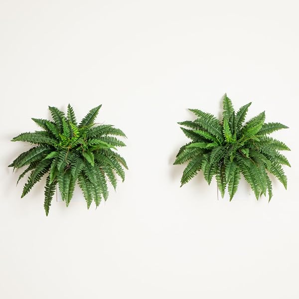 NEARLY NATURAL 40IN HANGING ARTIFICIAL BOSTON FERN PLANT SET OF 2 – REALISTIC FAUX GREENERY FOR INDOOR HOME, OFFICE, AND BATHROOM DECOR