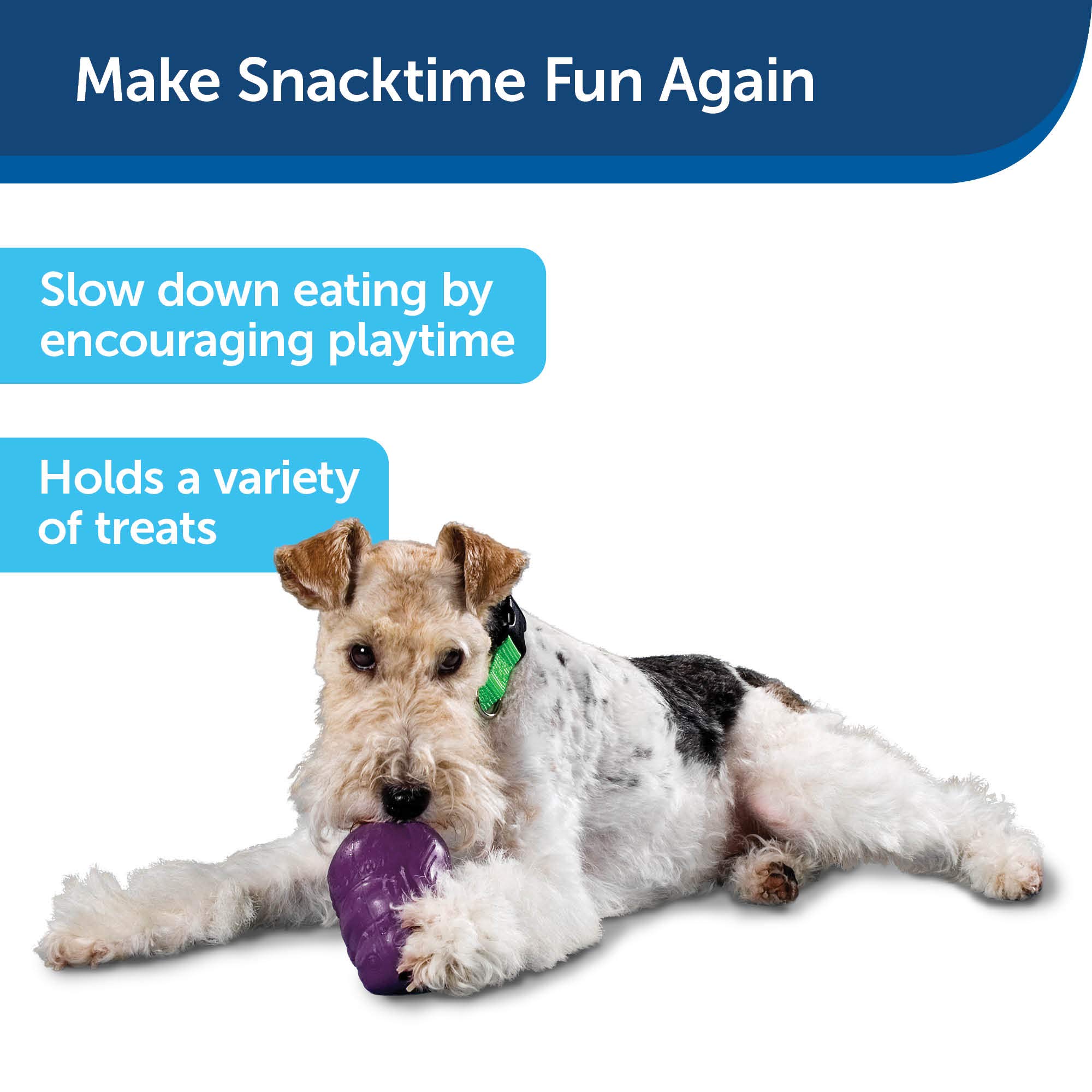 PetSafe Busy Buddy Squirrel Dude Dog Toy - Treat Dispensing Toy – Large