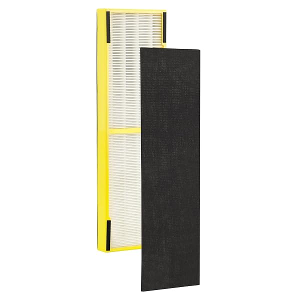 GERMGUARDIAN FILTER B HEPA PURE GENUINE AIR PURIFIER FILTER, REMOVES 99.97% OF POLLUTANTS, WILDFIRE SMOKE, ODORS, FOR AC4825, AC4300, AC4850, AC4880, AC4900, CDAP4500, AP2200, BLACK/YELLOW, FLT4825