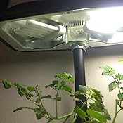 Amazon.com : AeroGarden Fluorescent Grow Light Bulb (2-Pack) : Plant