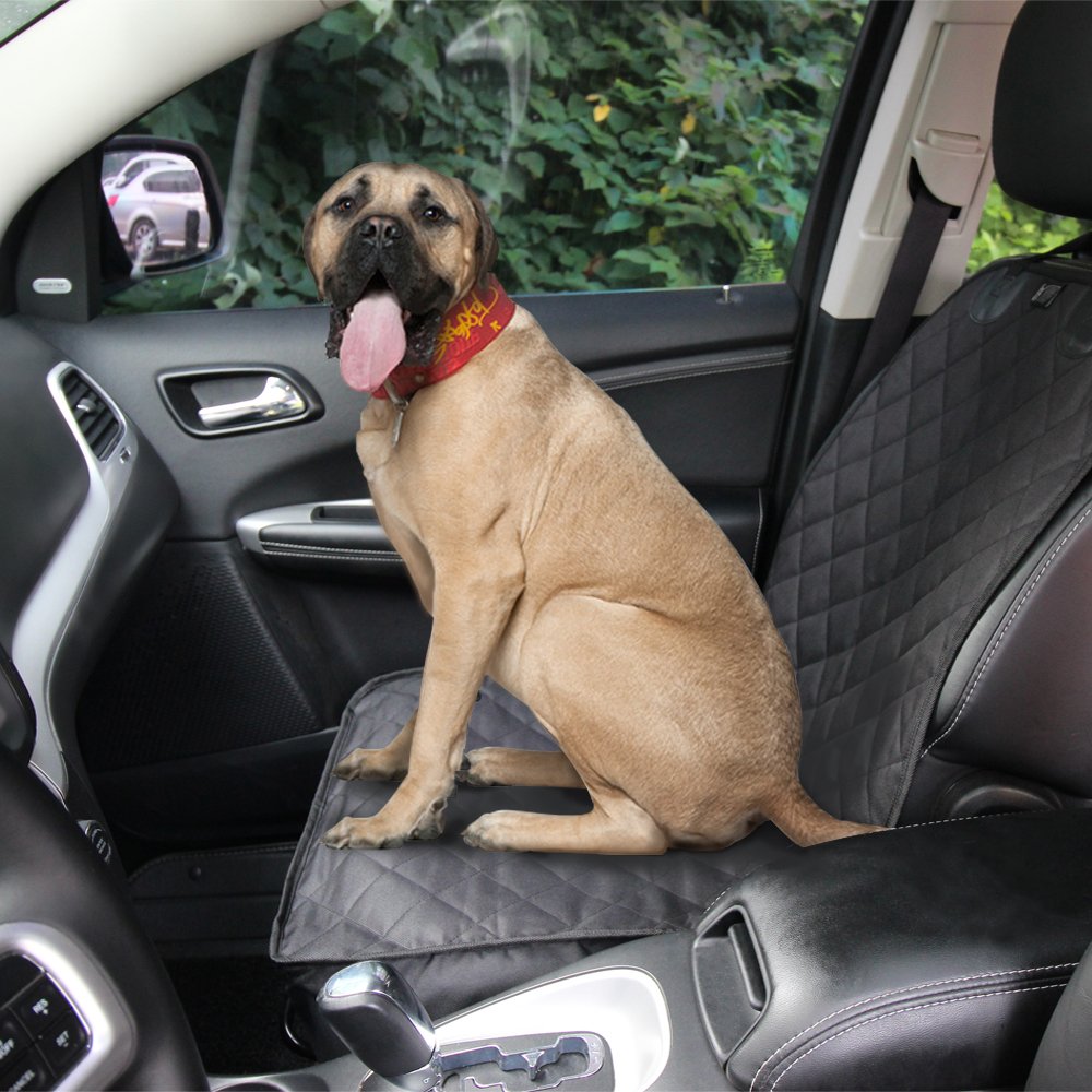 Best washable dog seat covers