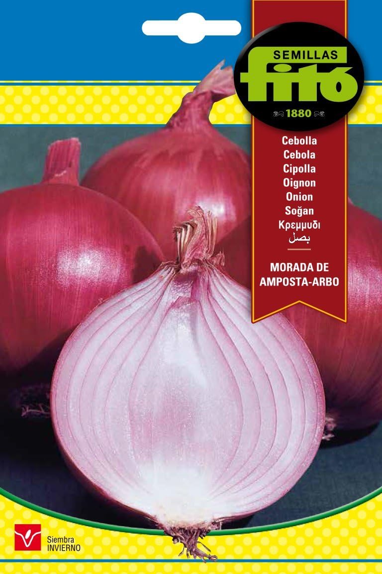Semillas Fitó 1235 - Semillas de Cebolla Morada de Amposta ARBO ...