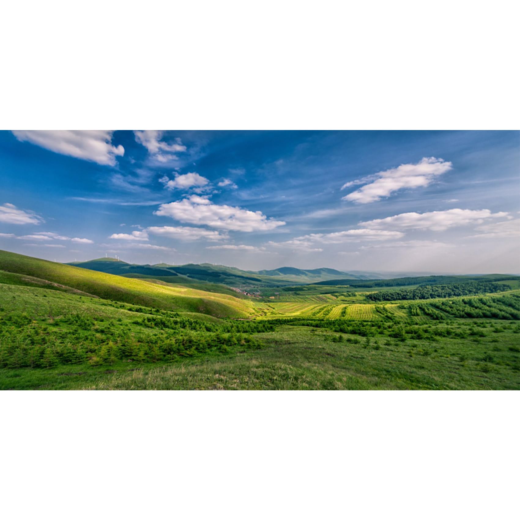 MIRRORANG 180x46cm Nature Scenery Terrarium Background Green Meadow Reptile Habitat Background Tropical Fish Tank Aquarium Background