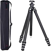 FALCAM TreeRoot 61" Carbon Fiber Small Travel Tripod Kit C141K-301, 4-Section Round Tube Legs, Quick Lock Tripod with Ballhead-T00A4903