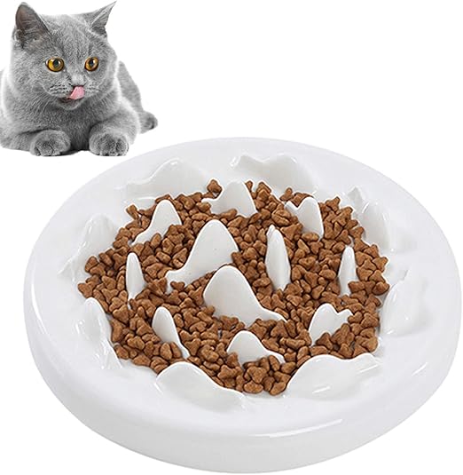 slow feeder cat bowl