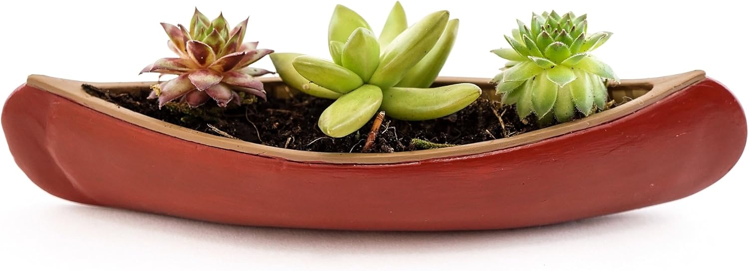 Best fairy garden canoe