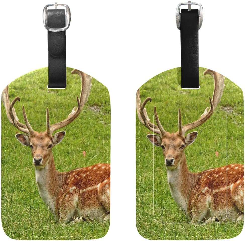 antler soft suitcase