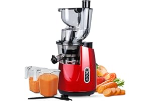 LynTorin Cold Press Juicer Machine, Slow Juicer Cold Press with 3.2" Wide Feed Chute, 200W Slow Masticating Juicer Machine for Vegetable and Fruit, Juicer Machine for Home Use w/Brush, Easy to Clean