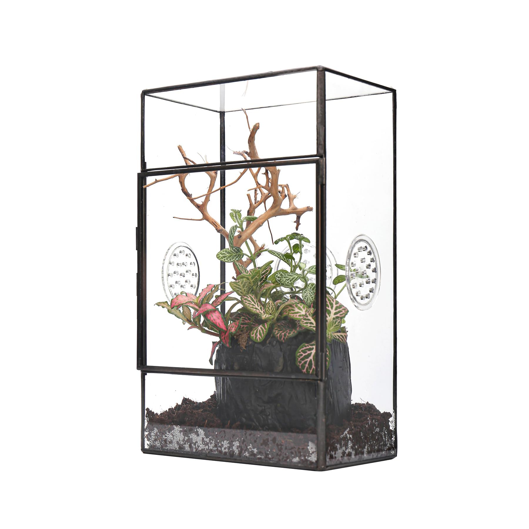 NCYP Glass Enclosure with Side Door and Three Vent Holes for Large Jumping Spider - 13 x 10 x 23 cm Rectangle Black Small Terrarium (Terrarium Only)