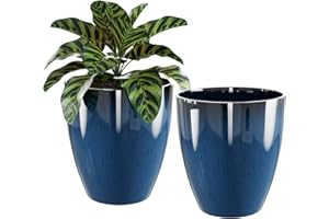 QCQHDU Plant Pots Set of 2 Pack,10 Inch Plant Pot for Indoor and Outdoor Plants with Drainage Hole,Flower Pots Modern Decorative Planter for Garden Plants (Blue)