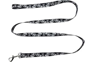 Littlearth NFL Las Vegas Raiders Pet Lead, Team Color, INCH