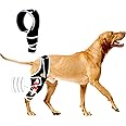 Dog Knee Brace for Torn ACL Front Leg, Dog Knee Braces with Cruciate Ligament Injuries Rear Legs or Front Legs, Dog Knee Wrap for Luxating Patella, Leg Dysplasia, Help Relief Pain CCL, M