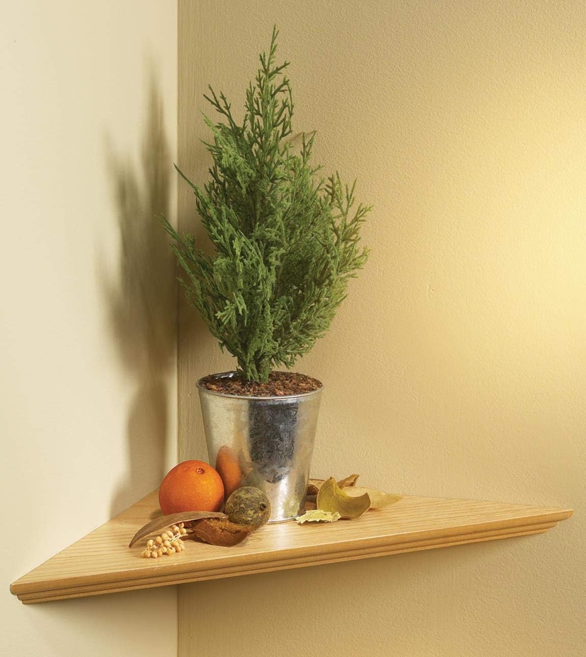 KV Kitchen & Bath Storage EZC 17/1 OK Oak Instant Corner Shelves Single Pack, 17