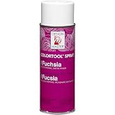 Design Master 786 Fuchsia Colortool Spray