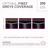 L'Oreal Casting Crème Gloss Semi-Permanent Hair Dye 210 Blue Black view 7