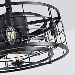 SYXLCYGJ Caged Ceiling Fans with Lights Remote