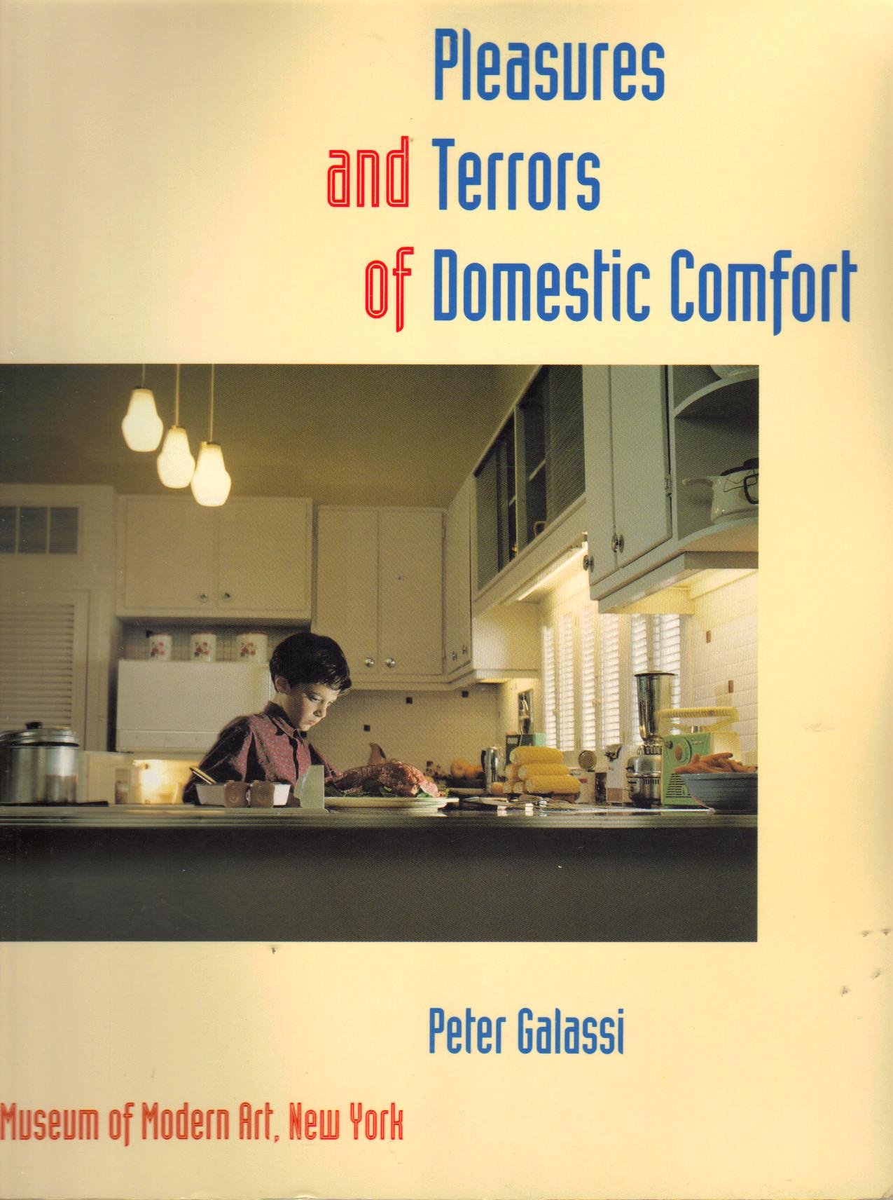 The Pleasures And Terrors Of Domestic Comfort Peter Galassi