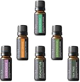 Aromatherapy Top 6 100% Pure Therapeutic Grade Basic Sampler Essential Oil Gift Basic sampler essential oil gift set 6/10ml (lavender, sweet orange, peppermint, lemongrass, tea tree, eucalyptus)