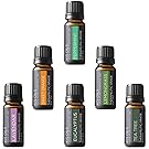 Aromatherapy Top 6 100% Pure Therapeutic Grade Basic Sampler Essential Oil Gift Basic sampler essential oil gift set 6/10ml (lavender, sweet orange, peppermint, lemongrass, tea tree, eucalyptus)